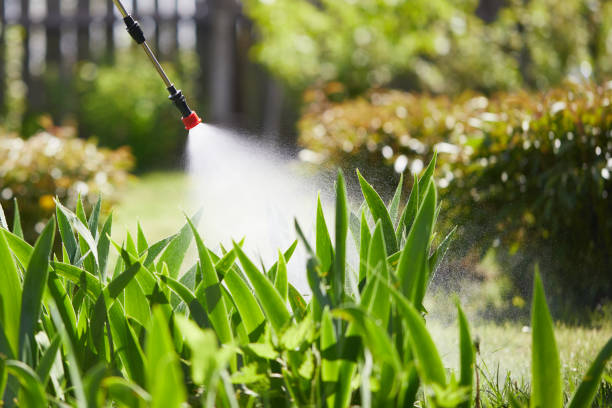 24/7 Emergency Wasp Removal experts in Foley, AL