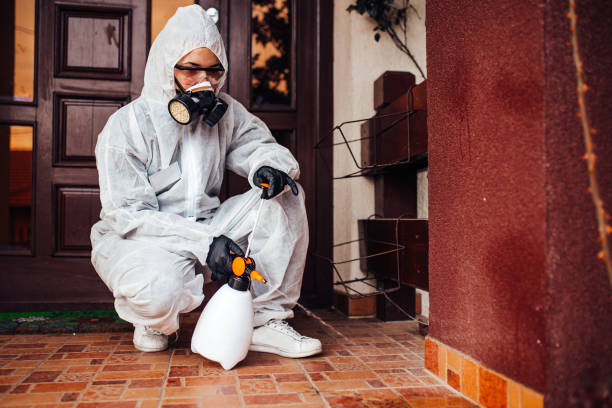 Reliable Wasp Removal contractor in Foley, AL by Show Me Pest Control